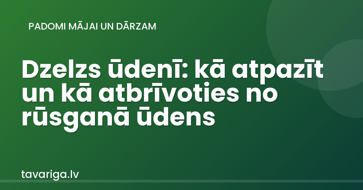 Dzelzs ūdenī: kā atpazīt un kā atbrīvoties no rūsganā ūdens