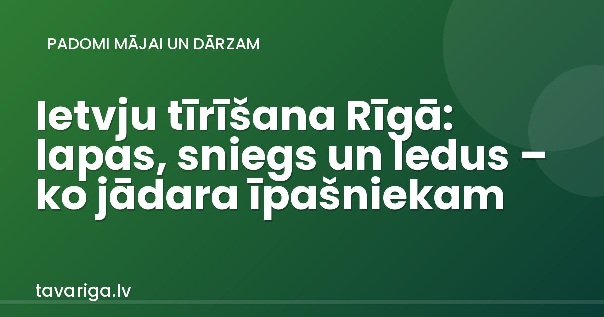 Ietvju tīrīšana Rīgā: lapas, sniegs un ledus – ko jādara īpašniekam