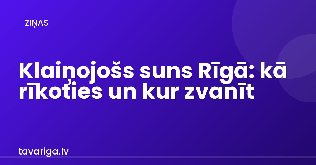 Klaiņojošs suns Rīgā: kā rīkoties un kur zvanīt