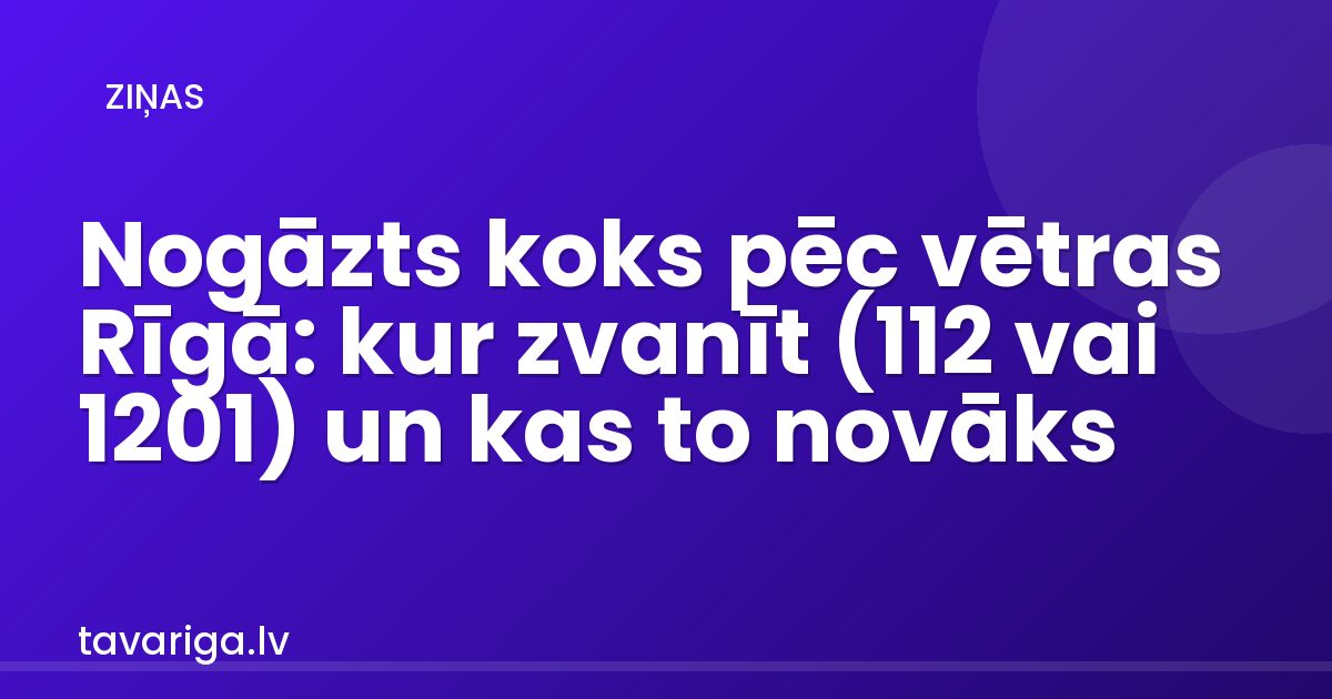 Nogāzts koks pēc vētras Rīgā: kur zvanīt (112 vai 1201) un kas to novāks