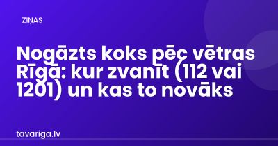 Nogāzts koks pēc vētras Rīgā: kur zvanīt (112 vai 1201) un kas to novāks