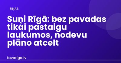 Suņi Rīgā: bez pavadas tikai pastaigu laukumos, nodevu plāno atcelt