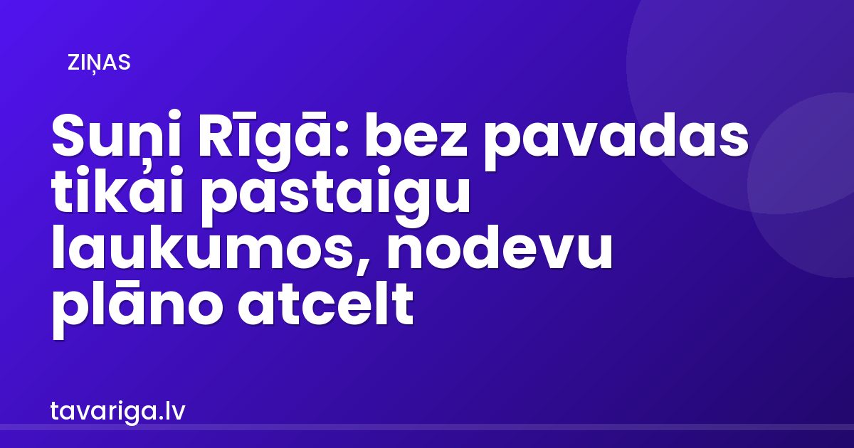 Suņi Rīgā: bez pavadas tikai pastaigu laukumos, nodevu plāno atcelt