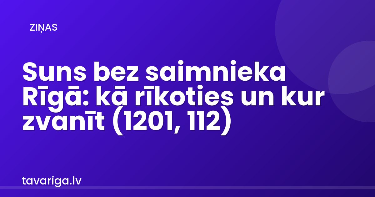 Suns bez saimnieka Rīgā: kā rīkoties un kur zvanīt (1201, 112)