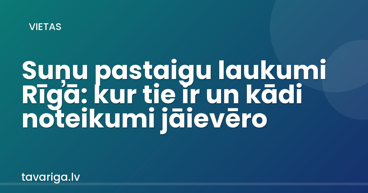 Suņu pastaigu laukumi Rīgā: kur tie ir un kādi noteikumi jāievēro